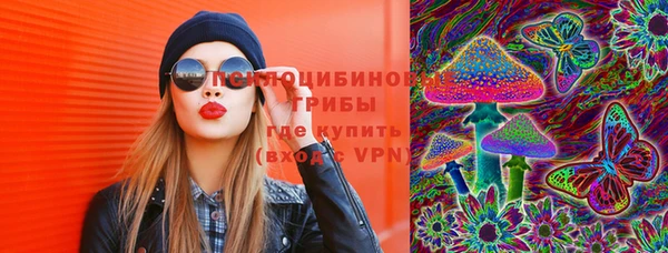 сатива Алексеевка