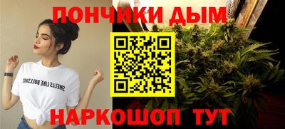 прущие грибы Краснокаменск
