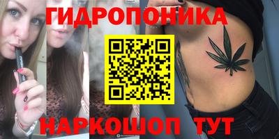 прущие грибы Краснокаменск